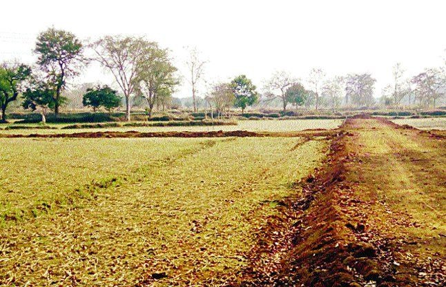 Agricultural land under illegal Plating सड़क का पता न पानी का यहां धड़ल्ले से खेतों को काटकर कर रहे प्लाटिंग