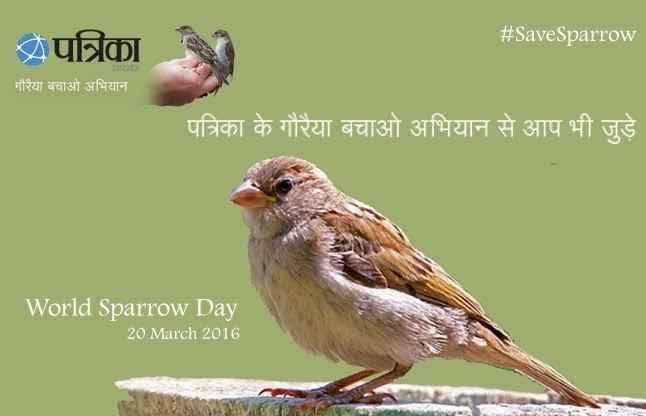 Gauraya #World Sparrow Day देखिये गौरैया ने कैसे किया प्यार का इजहार