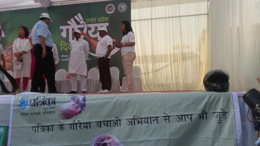 world sparrow day गौरैया पत्रिका अभियान में जुटे वन विभाग के दिग्गज