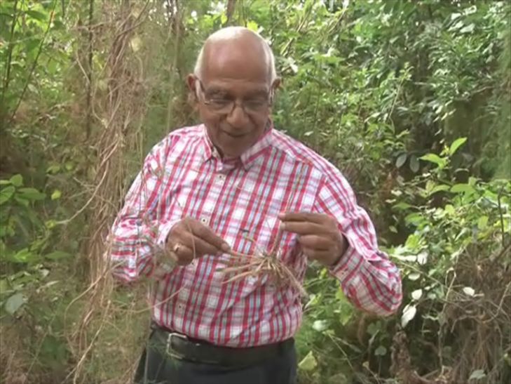 medicinal plants औषधीय खेती से दूर हो सकती है किसानों की बदहाली