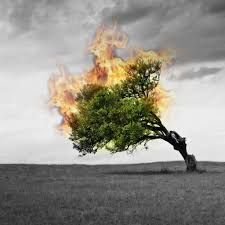 fire शार्ट सर्किट से इंग्लिश क्लब में लगी आग