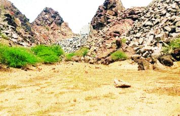 barmer barmer