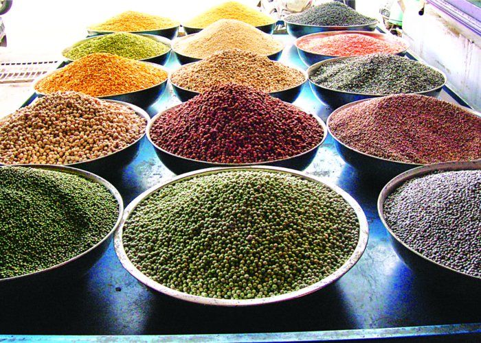 pulses price,rice price, wheat price, grains price increase,next week, grain market grow, krishi upaj mandi jabalpur, kitchen budget, 2016-17 budget, दाल चावल अगले सप्ताह 25 से 50 रुपए हो जाएंगे... आज ही कर लें सस्ते में खरीदी
