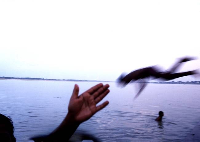 student jump ganges गंगा की गोद में समाई छात्रा