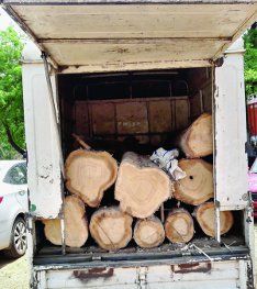 pick-up छिंदवाड़ा से पिकअप चुराई, केसला से काटी सागौन, सोहागपुर में पकड़ाए