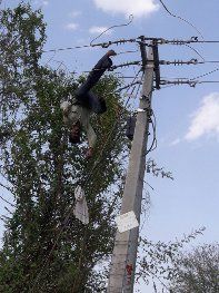linemen बिजली खंभे पर चढ़े लाइनमैन की करेंट से मौत,तारों के बीच लटकता रहा शव