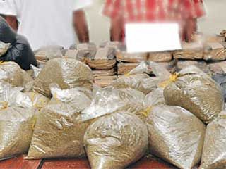 drugs selling खुलेआम गांजा तस्करी करते पकड़ा गया तस्कर, 2 किलो जब्त