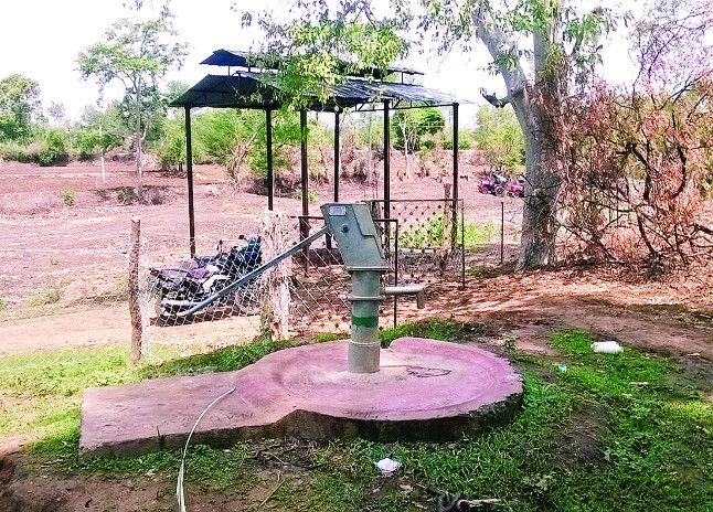 Villagers complained to the collector शासकीय जमीन पर जमाया कब्जा, पीएचई की बोर से उगा रहा फसल