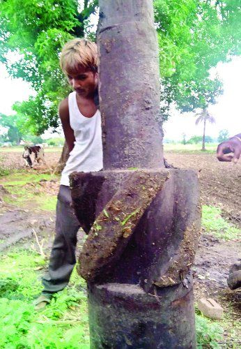 Ghana कुएं की खुदाई में निकला सौ वर्ष पुराना घाना