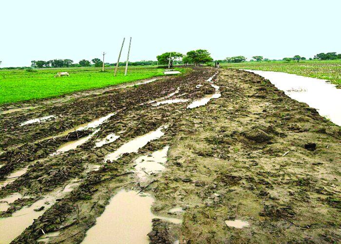 roads become mud pond due to heavy rain बारिश से सड़कें बन गईं दलदल, खराब रास्तों ने ले ली मासूम की जान