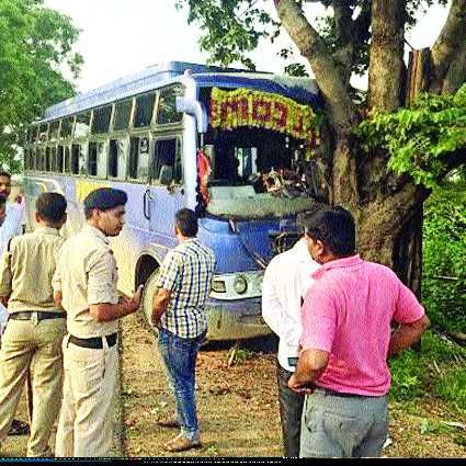 singrauli news हादसा: पेड़ में टकराई बस, दर्जनभर यात्री घायल