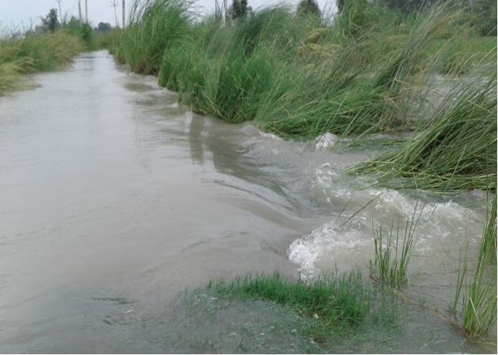 flood बाढ़ ने मचार्इ तबाही, डेढ़ दर्जन गांवों में भरा पानी, आधा दर्जन गांवों का आवागमन बाधित