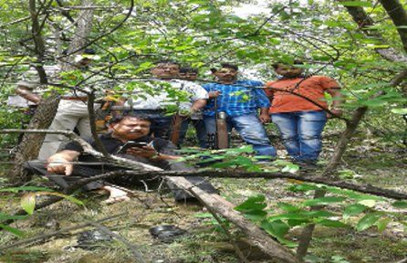 Bear shot hit team to kill दो ग्रामीणों की जान लेने वाले भालू को गोली मारने बिलासपुर से आई स्पेशल टीम