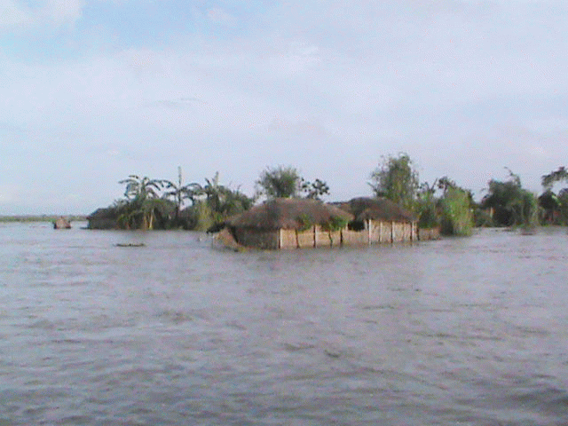 After Flood Farmers Crops Fully Destroyed - बाढ़ के बाद किसानों का दर्द, अब  कैसे भरेगा पेट | Patrika News