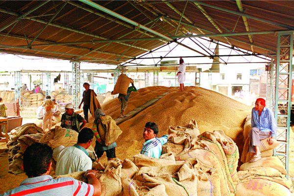soyabean इंदौर मंडी में आया 1000 बोरी नया सोयाबीन, 4001 रुपए क्विंटल तक बिका