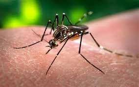 dengue जौनपुर में भी बढ़ा डेंगू का प्रकोप, फिर हुई एक बच्चे की मौत