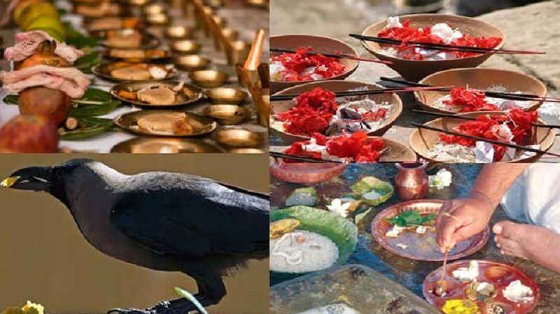 Image result for पितà¥à¤ªà¤à¥à¤·