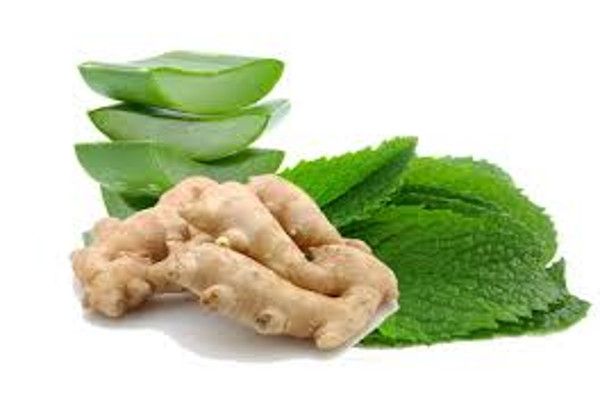 Ginger is a domestic medicine सुबह खाली पेट खाएं यह घरेलु दवा, नहीं होगी कब्ज
