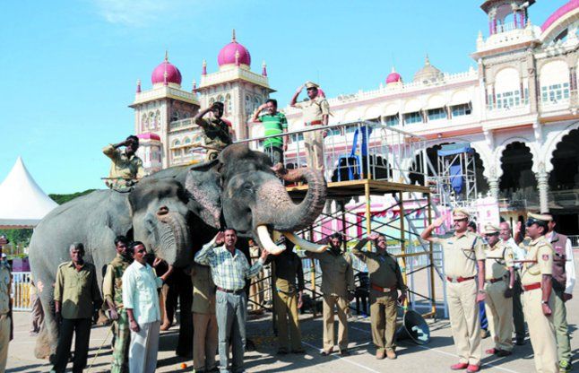 bangalore news जंबो सवारी का अंतिम बार किया अभ्यास