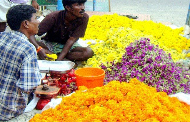bangalore news तमिलनाडु के फूलों की आवक रुकने से दाम उछले