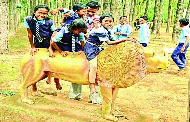Biodiversity threatened रिजर्व फॉरेस्ट में कांक्रीट स्ट्रक्चर व लाइटिंग से जैव विविधता को खतरा