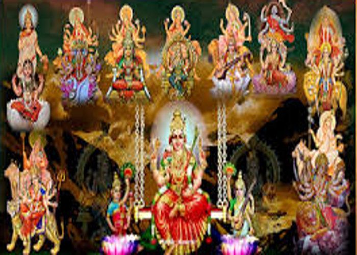 navratri यह 9 दिव्य औषधियां हैं नवदुर्गा के 9 रूप