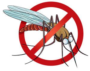 Diagnosed with two children dengue have been conf अधिकारियों को मार गया लापरवाही का डंक, कैसे बचेंगे डेंगू से