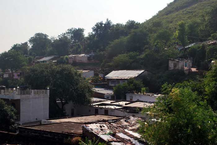 raisen सरकारी जमीन को निगल रहे भू-माफिया