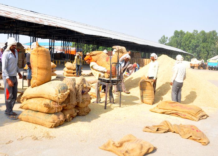 gwalior धान की 250 ट्रॉलियों से लगा जाम