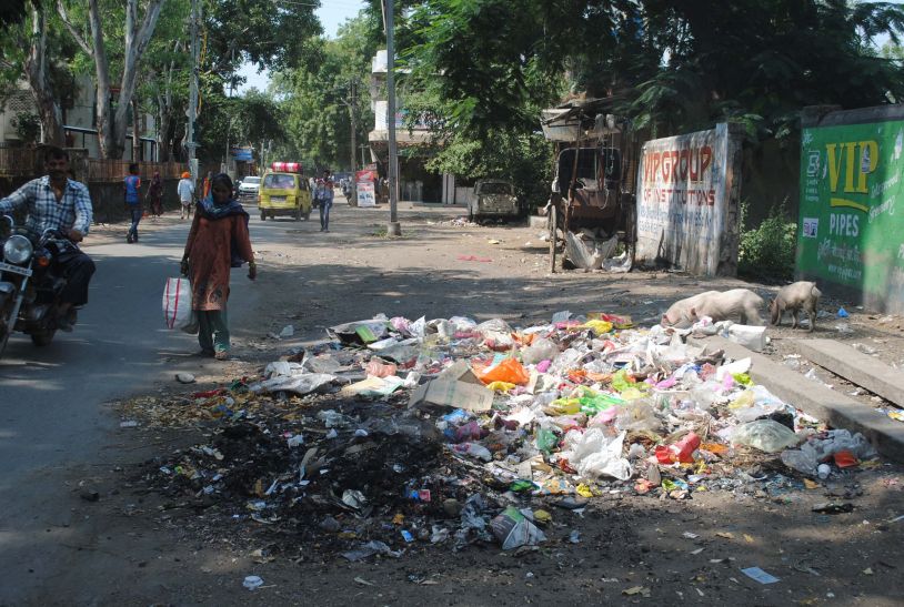 sehore अनदेखी के कारण लग रहा डेंगू का डंक