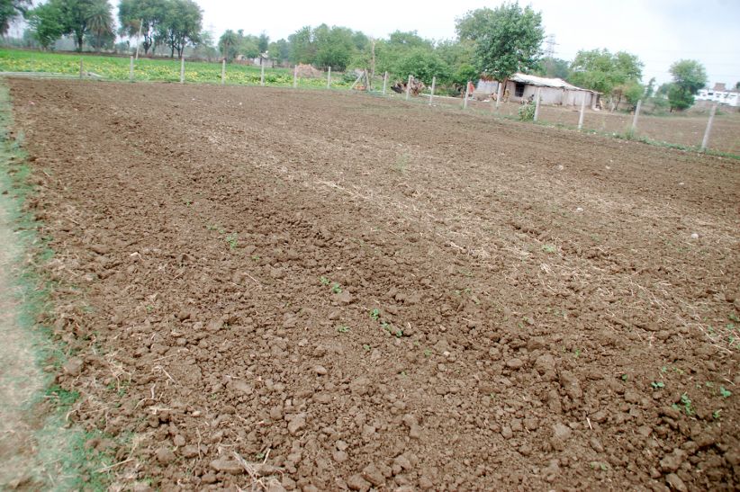 Ashok nagar अच्छे उत्पादन के लिए उन्नत बीजों का करें चयन