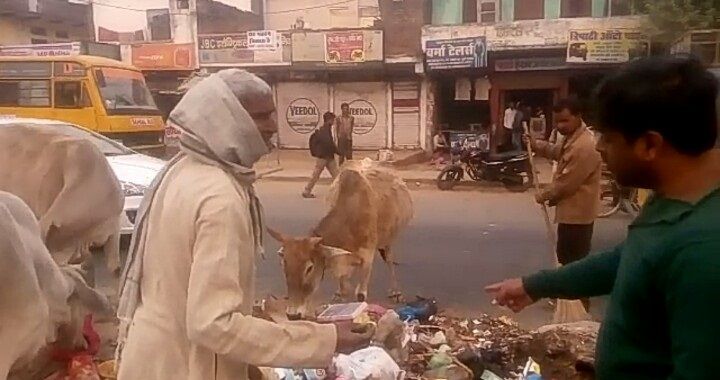 bhind गंदगी देख भड़के कलेक्टर, नपा अमले पर फूटा गुस्सा
