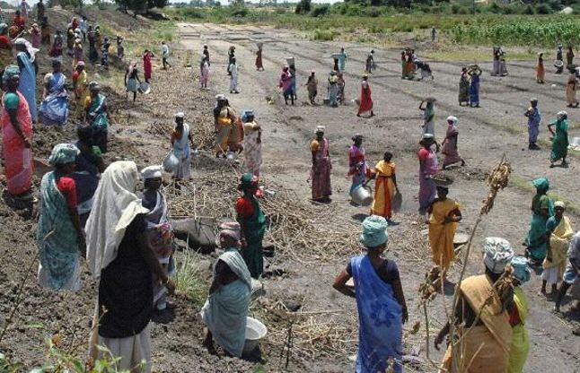 MNREGA पलायन रोकने के लिए मनरेगा मजदूरों का होगा बेसलाइन सर्वेक्षण