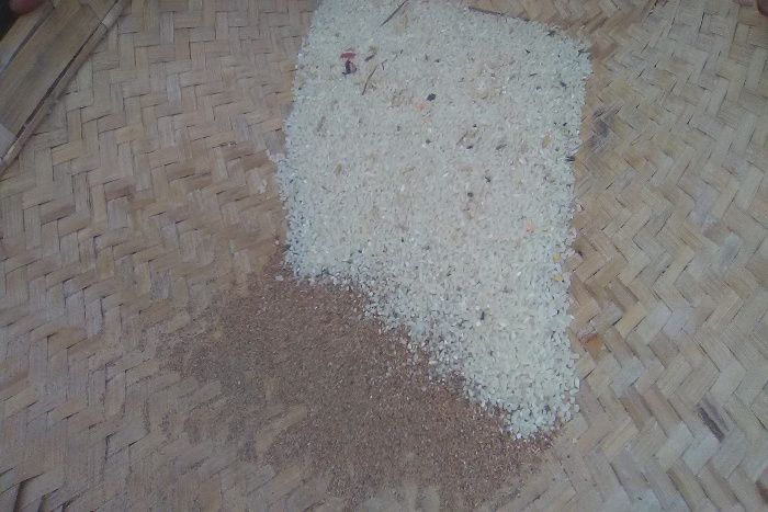 Sand, gravel and Stone found in PDS Rice यहां राशन दुकानों में मिल रहा घटिया चावल