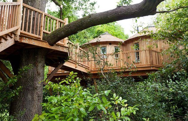 Tree house ये होटल्स बना देंगे आपकी यात्रा को बेहद यादगार