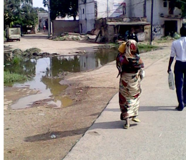 Ashok nagar गंदगी से परेशान वार्डवासी, नपा नहीं दे रही स्वच्छता पर ध्यान