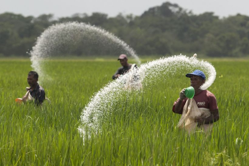 fertilizer अब बिना कैश के किसान खरीदेंगे उर्वरक, इफको कर रही मदद