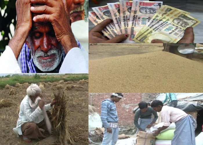 barabanki नोटबंदी के बाद देश का 'अन्नदाता' परेशान, औने-पौने दाम पर बेच रहा है धान