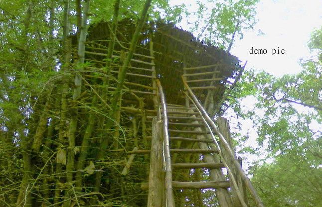 Jungle House जानिए, क्यों पेड़ों पर रहने को मजबूर हुए लोग