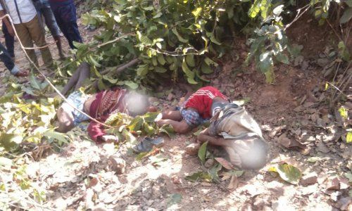 rural body in forest रात में हाथियों को खदेडऩे गए 2 ग्रामीण नहीं लौटे घर, सुबह Forest में मिली लाश