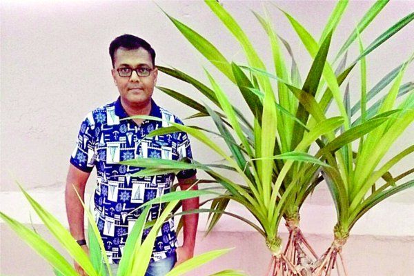 bonsai इन्होंने सहेजी जैपनीज आर्ट, 40 साल से कर रहे 150 बोनसाई प्लांट्स की देखभाल