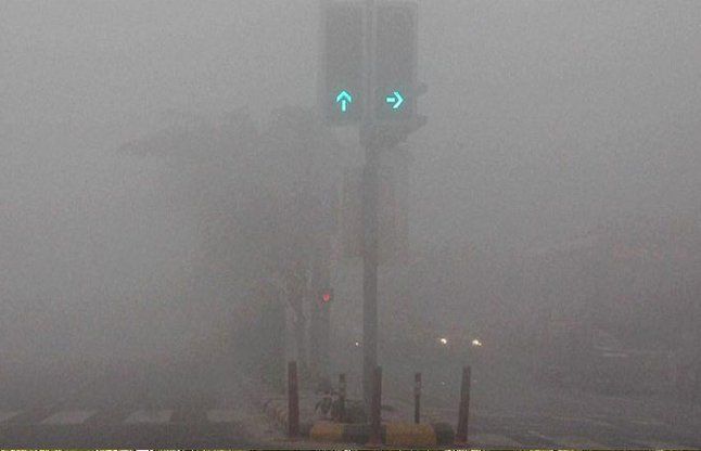 Fog कोहरे की चादर में लिपटा उत्तर भारत, दिल्ली में उड़ानें प्रभावित