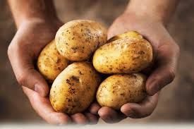 potato एेसे आएगी आलू की कीमतों में गिरावट, लोगों को मिलेगी राहत