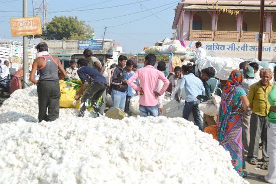 Barwani. Market traders bought outside the cotton पुराने नोट से व्यापारियों ने तय किए कपास के दाम