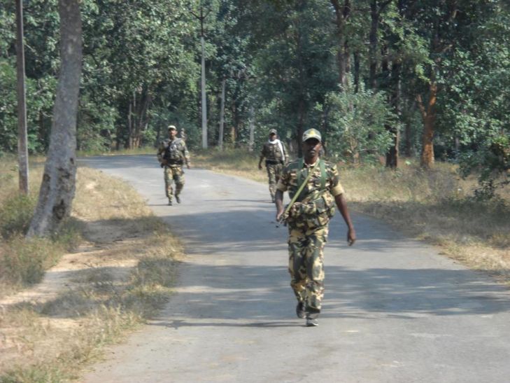 balaghat जंगलों में बढ़ाई गई सुरक्षा
