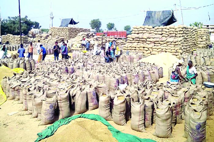 Paddy procurement centre परिवहन नहीं होने से मण्डी में लाखों क्विंटल धान जाम, किसान हो रहे परेशान
