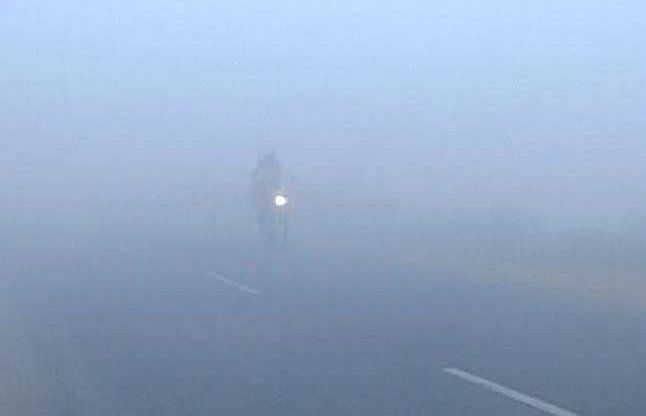 fog कोहरा: यमुना एक्सप्रेस वे पर 12 गाडिय़ों की टक्कर में 2 की मौत