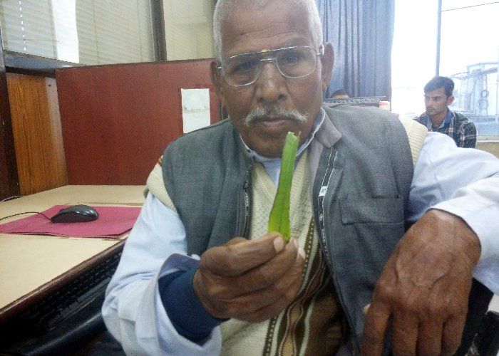 girdhar singh VIDEO: मुंह में पत्ती रखते ही बंद हो जाता है खून का बहाव, मोदी कराएंगे वैज्ञानिक परीक्षण