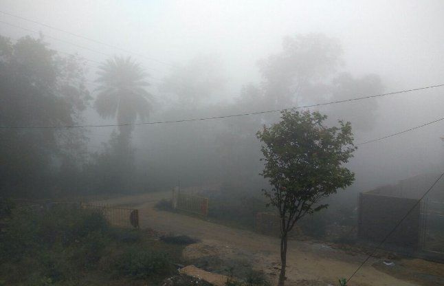 weather MP: बिछने लगी कोहरे की चादर, 15 दिसंबर से प्रदेश में भारी ठंड के संकेत