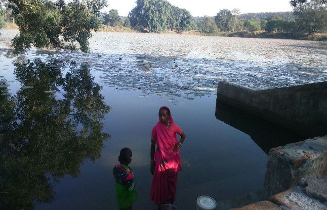 The pond was Nistari, Sarpanch Dlwai fish, village जिस तालाब से होती थी निस्तारी, सरपंच ने डलवाई मछली, ग्रामीणों का गुजारा हुआ बंद